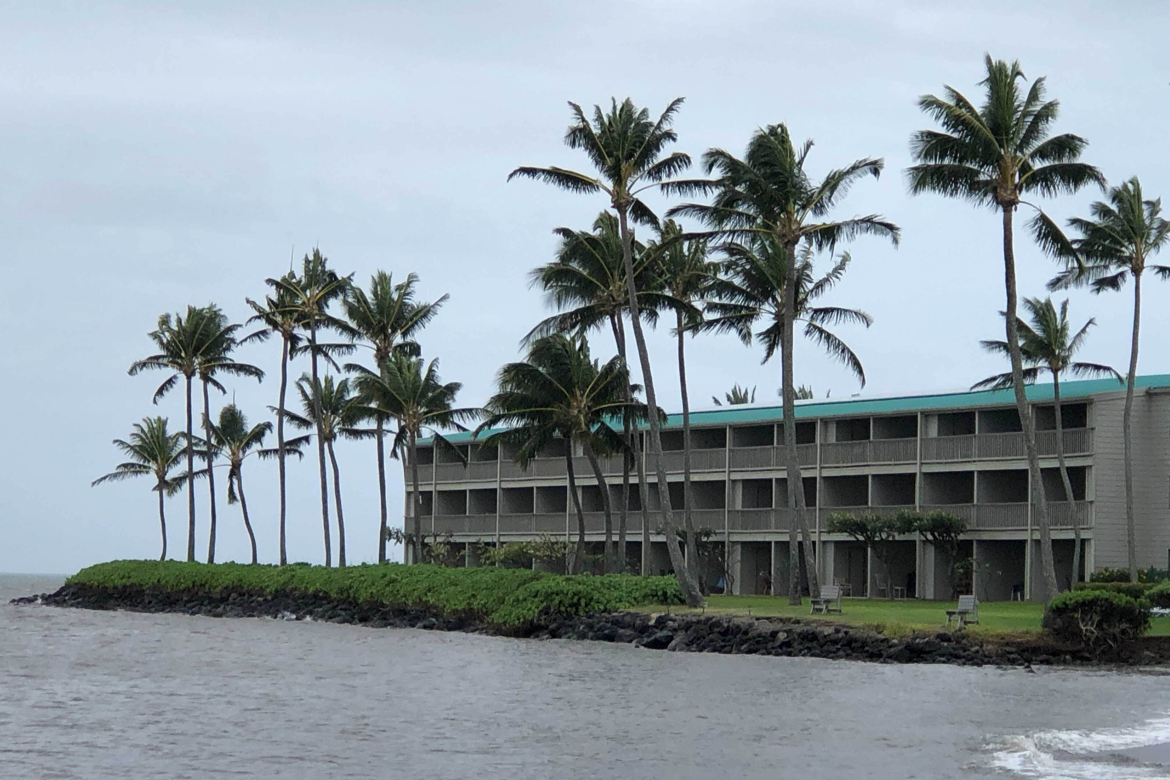 A beachfront hotel with multiple floors, palm trees, and a view of the ocean.