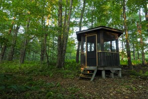 House (3 Bedrooms) | Interior - Modern Hideaway w/ Deck + State Forest Access (Parksville)