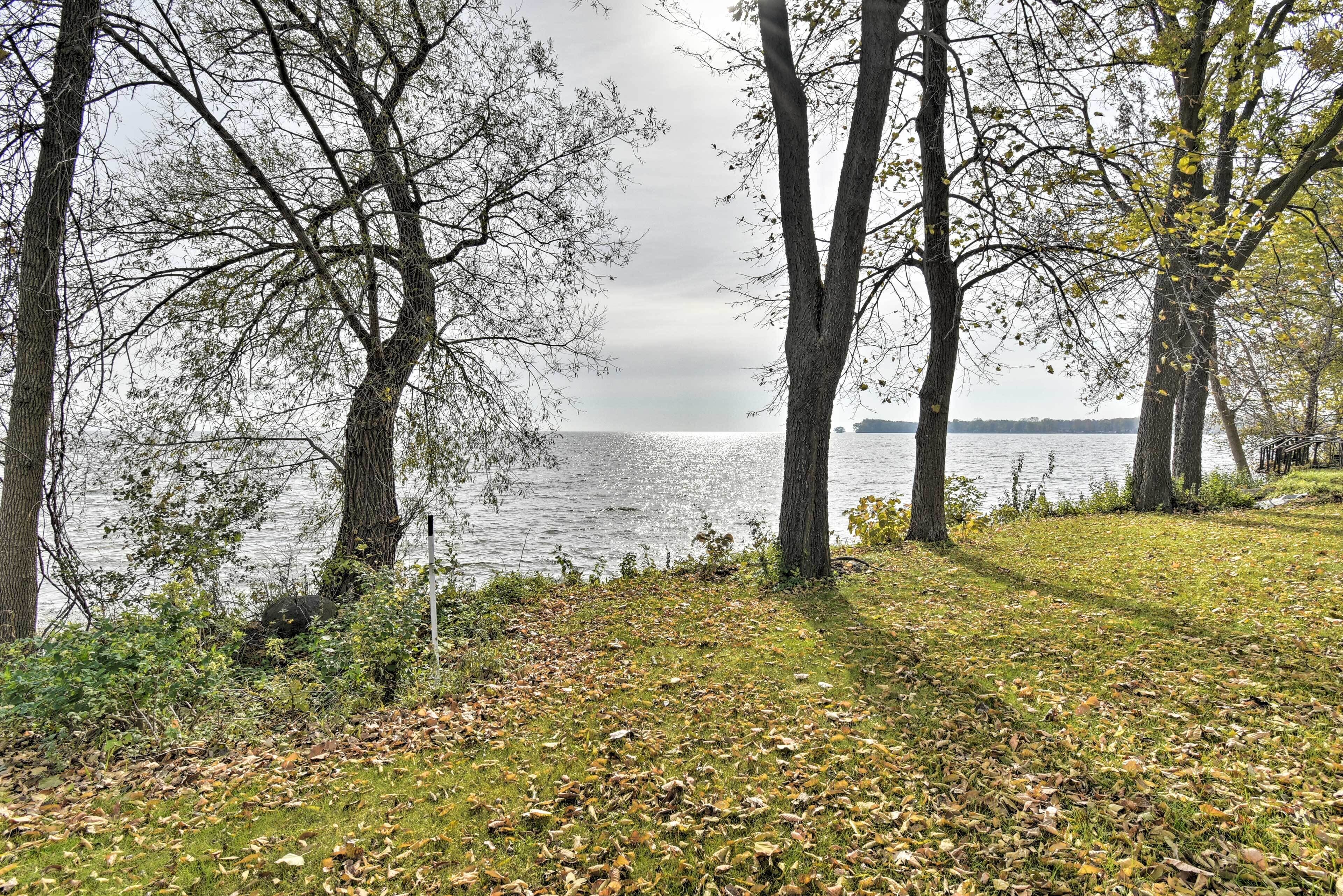 A lakeside view with trees and a grassy area.
