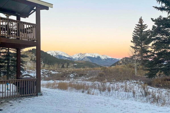 Apartment (1 Bedroom) | Interior