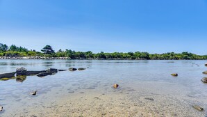 A clear beach with pebbles and rocks, a calm sea, and a distant shoreline with trees.
