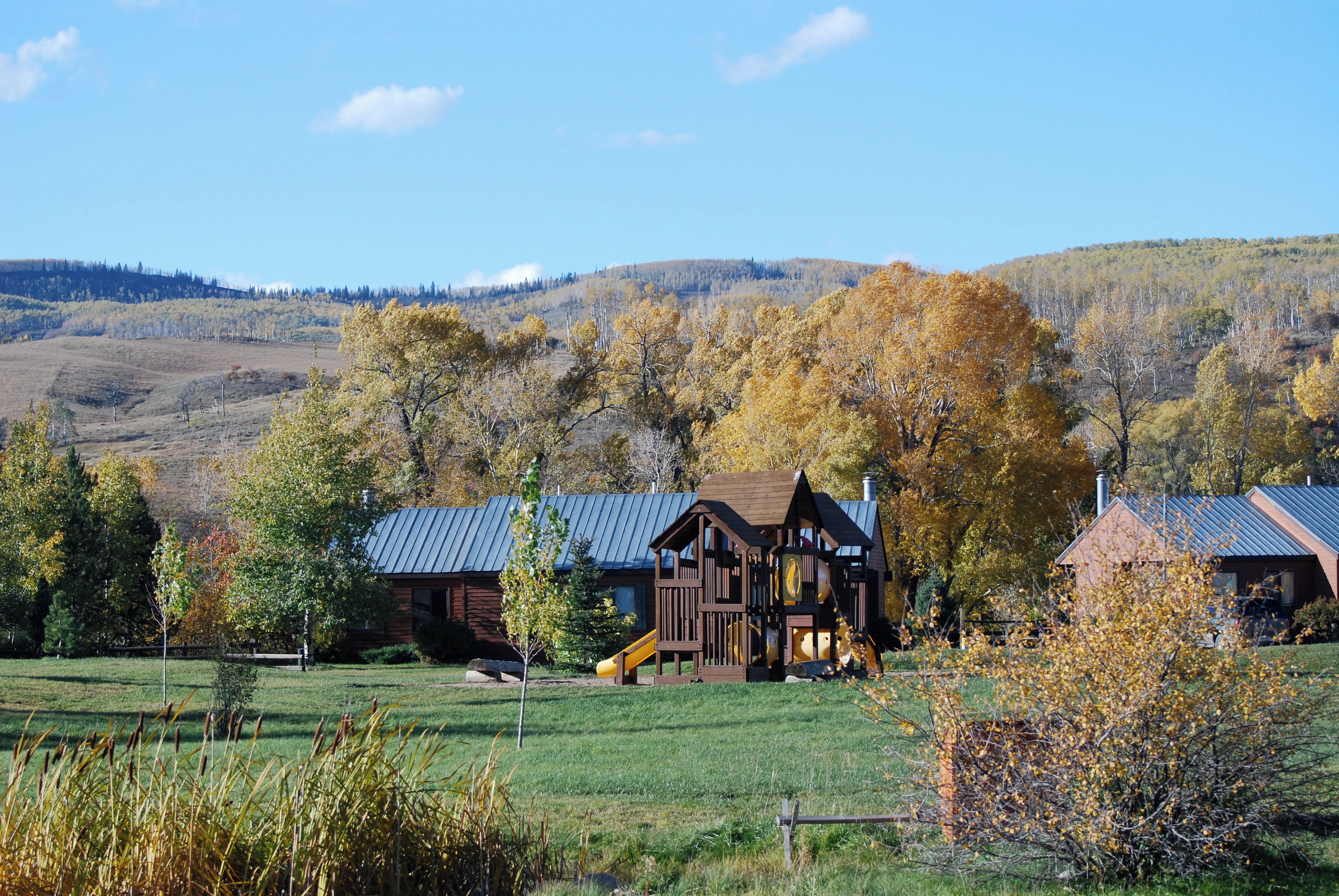 A rustic cabin with a metal roof, surrounded by a grassy field and autumn-colored trees.