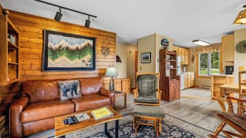 Smart TV, fireplace, DVD player, books