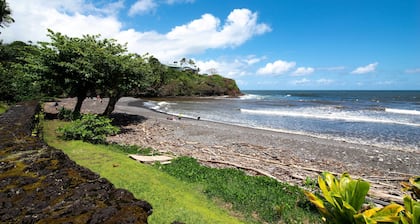 Hilo Apartment: Ocean Views on the Hamakua Coast!