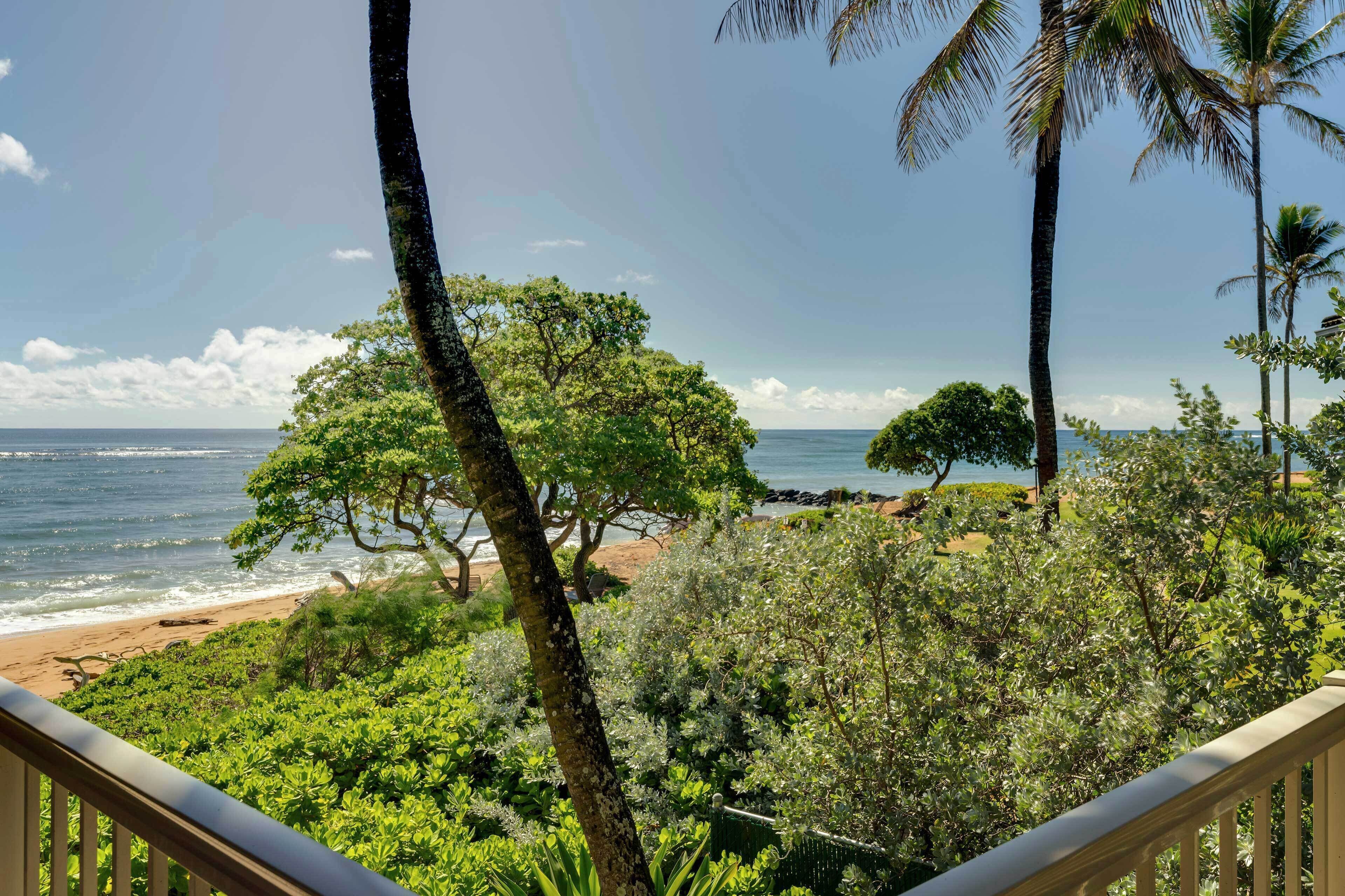A view of a beach with palm trees and a clear sky.