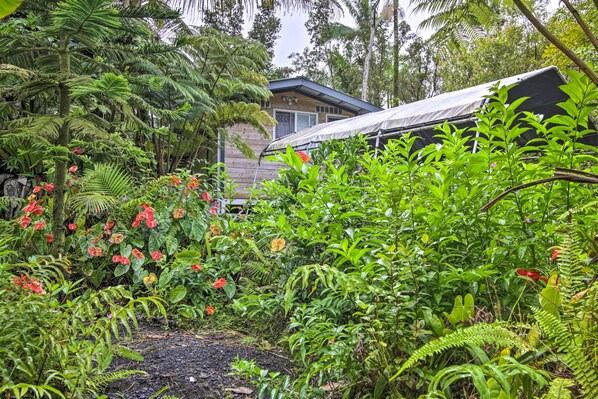 House (1 Bedroom) | Interior