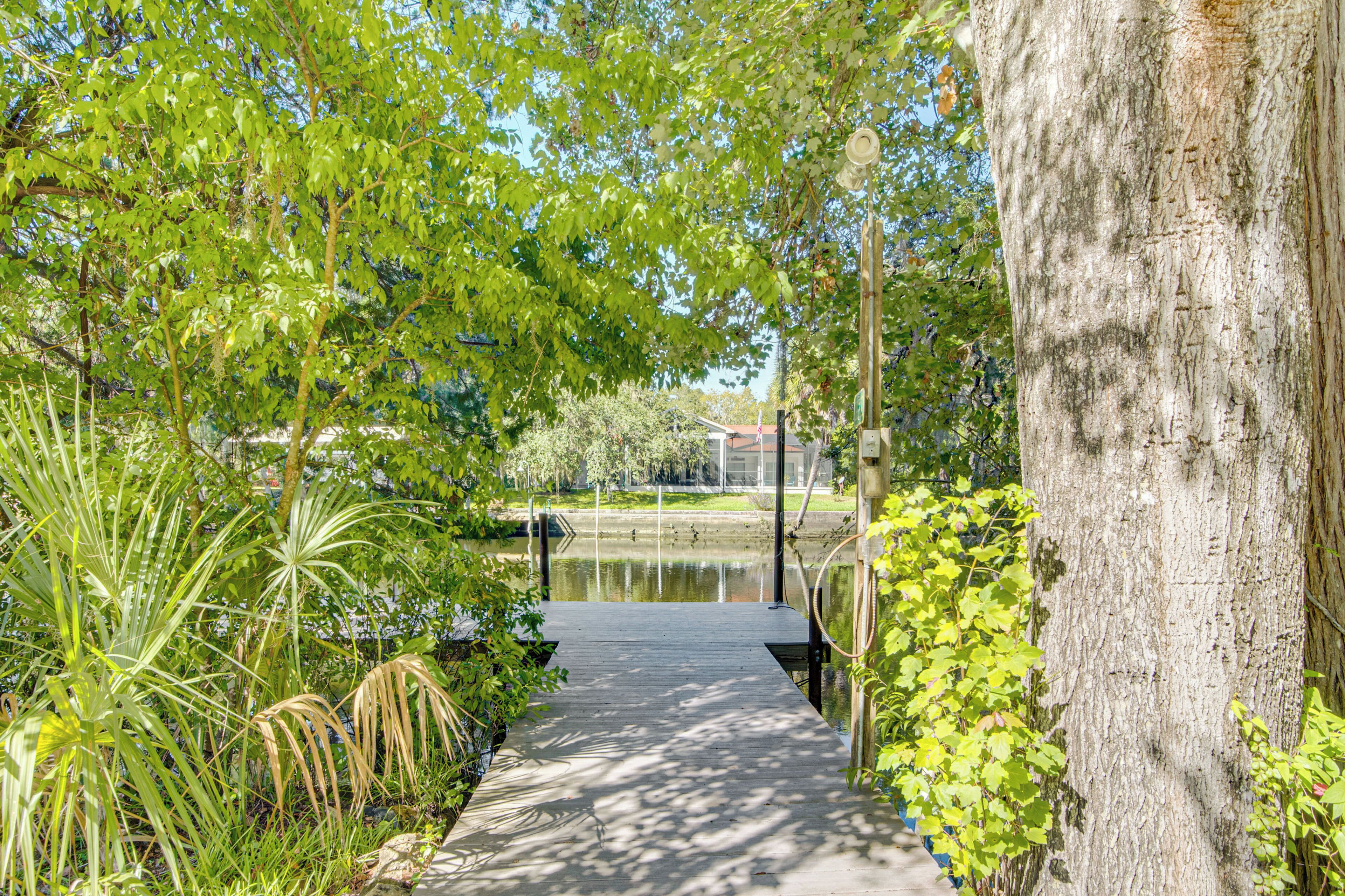 A pathway leading to a body of water, surrounded by lush greenery and trees.