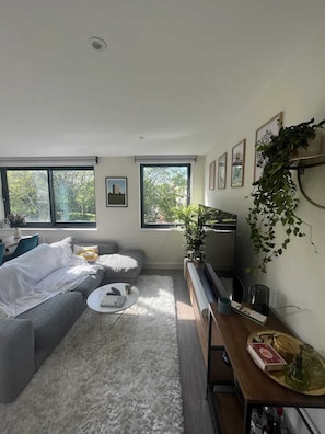 Basic Apartment, 1 King Bed with Sofa bed | Living area