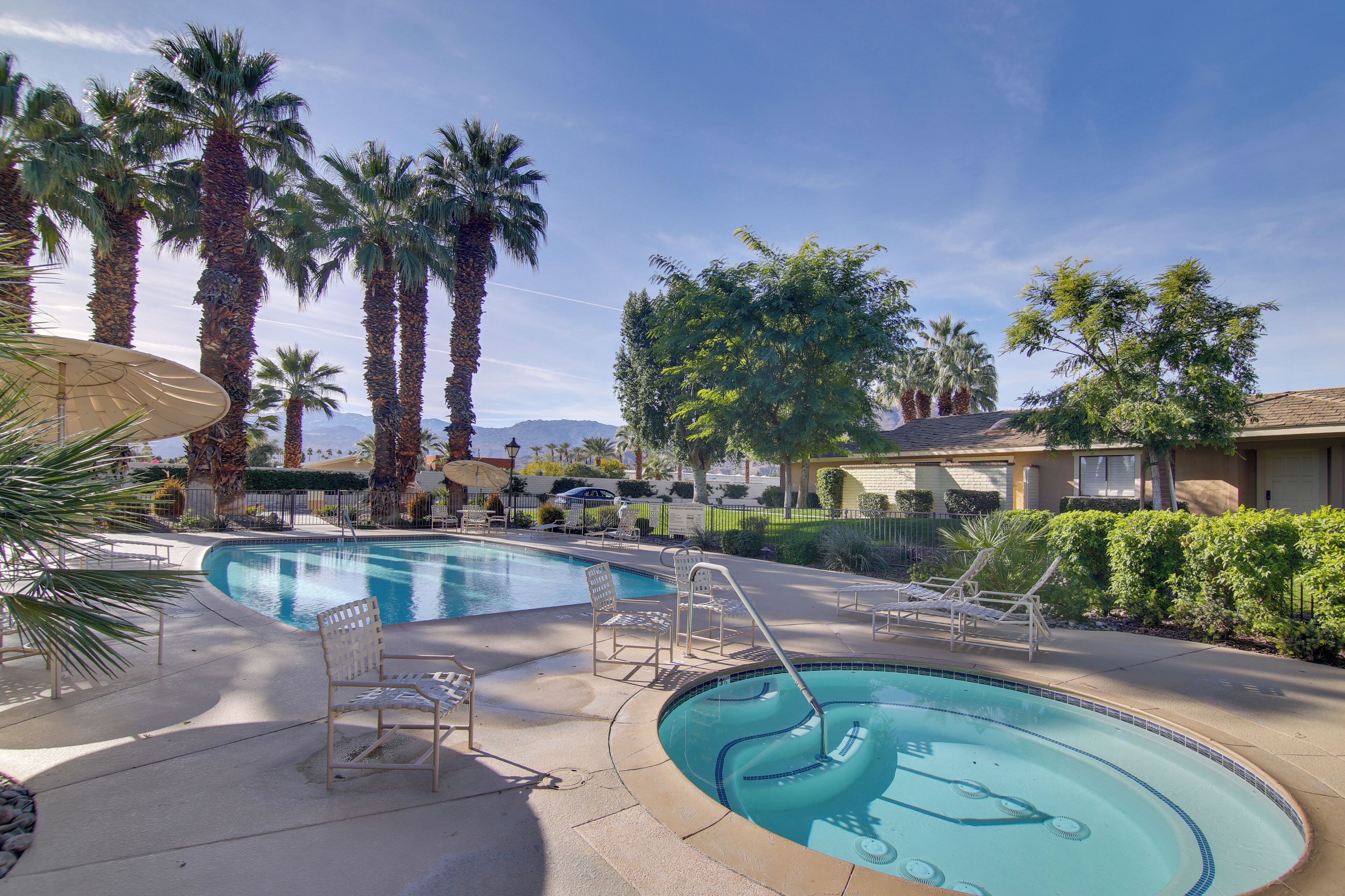 A swimming pool with lounge chairs and palm trees.