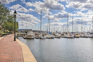 Apartment (1 Bedroom) | Interior - Modern Urban Escape in the Heart of Baltimore! (Baltimore)