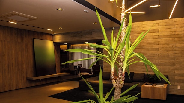 A modern lobby with a wooden reception desk, a large mirror, and a potted plant. - Belint Paulista (São Paulo)