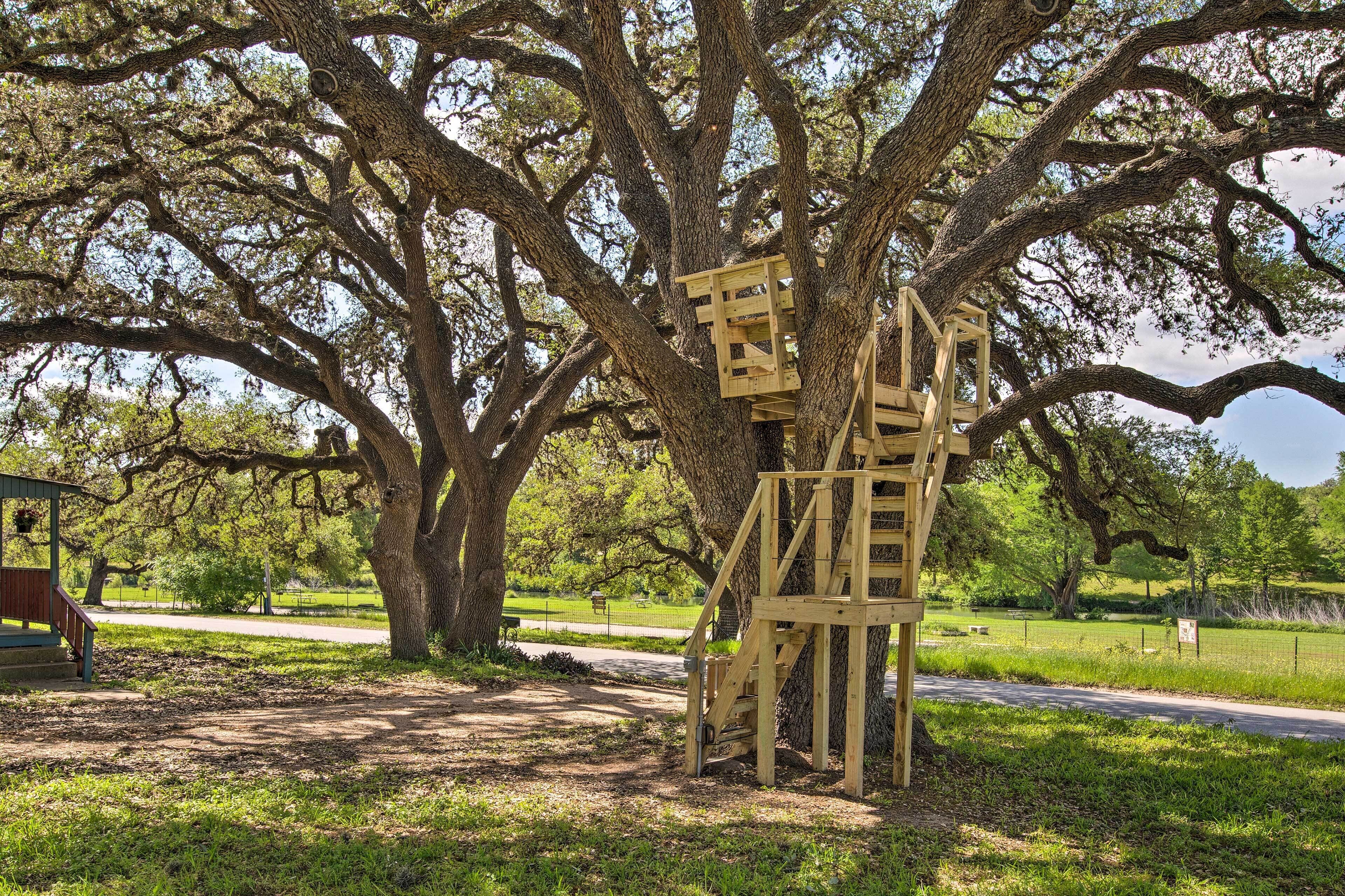 村舍 (2 Bedrooms) | 住宿内部