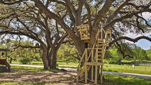 Un gran árbol con una estructura de madera adosada, posiblemente un mirador o área de juegos.