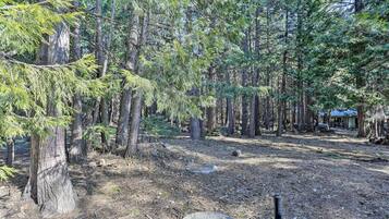 Nhà (3 Bedrooms) | Nội thất