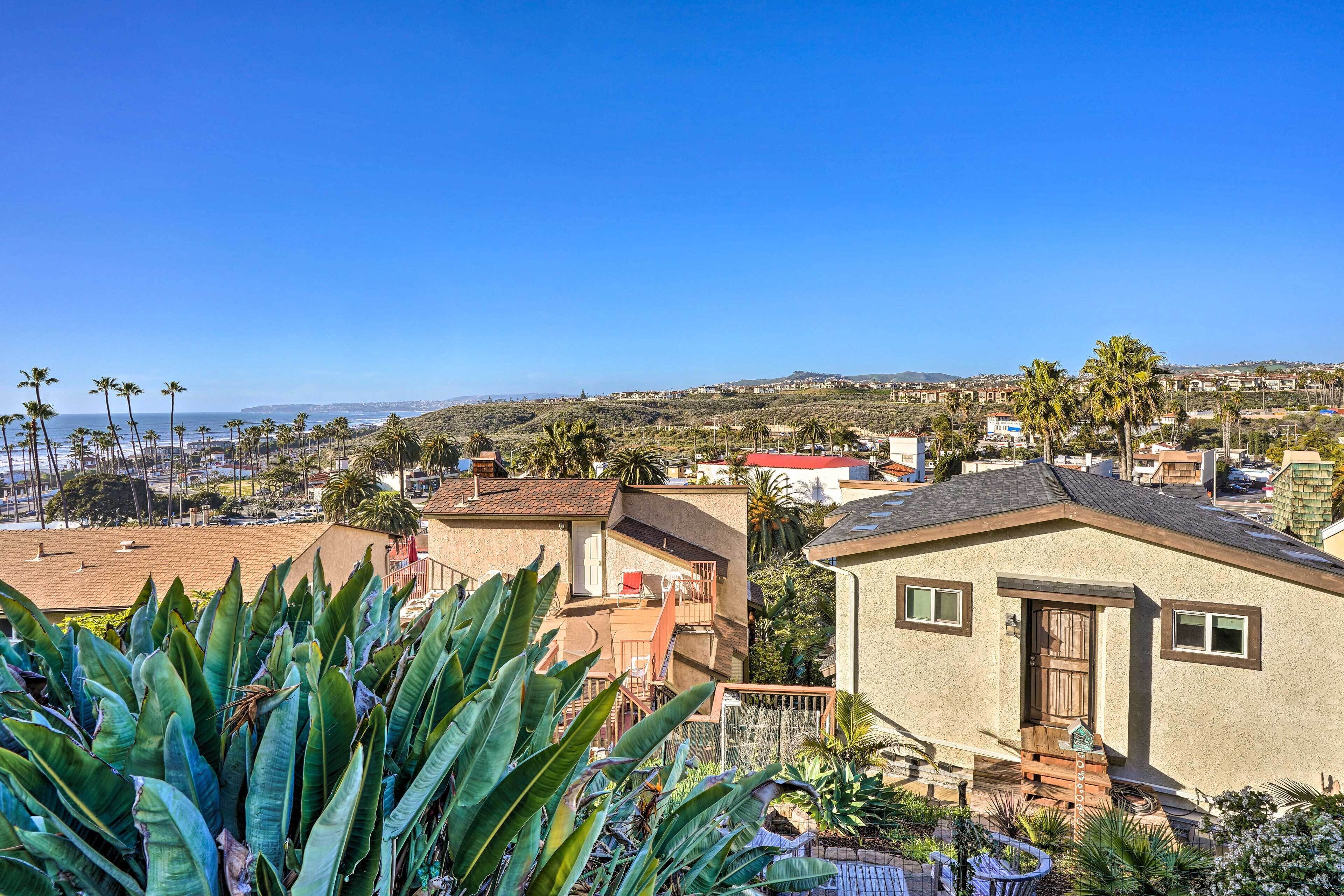 A residential area with houses, palm trees, and a clear blue sky.