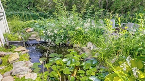 Ein Garten mit Teich, Steinen und verschiedenen Pflanzen.
