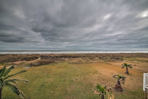 A grassy area with palm trees and a view of the ocean under a cloudy sky.