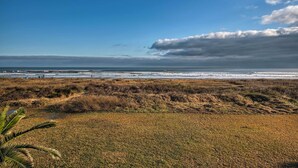 A beach with a clear sky and a palm tree in the foreground. - Steps to Gulf! Pet-friendly Galveston Getaway (Galveston)