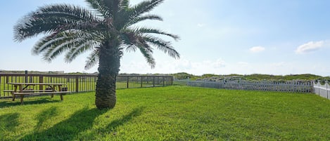 A grassy area with a palm tree and a wooden fence.