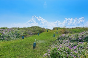 Interior - Steps to Private Beach! Pet-friendly Getaway (Galveston)