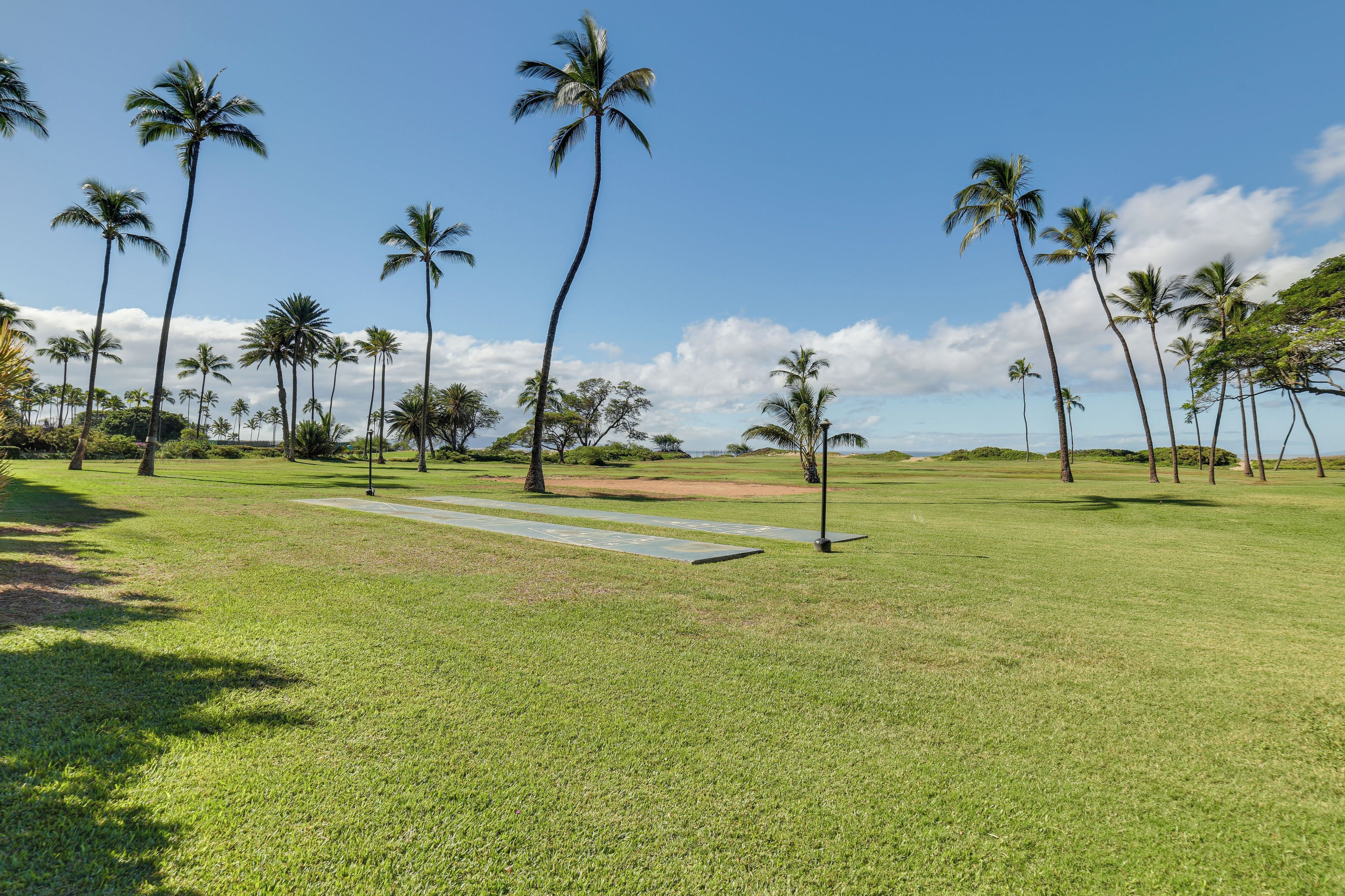 A grassy area with palm trees and a clear sky.