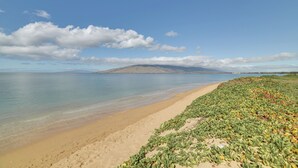 A beach with clear water, a sandy shore, and green vegetation.
