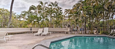 Un área de piscina con sillones de descanso y palmeras.