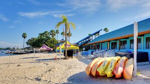 A beach with surfboards, a building with a blue roof, and palm trees.