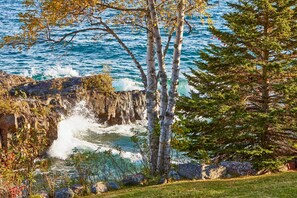 Paisagem costeira com falésias rochosas, ondas quebrando na praia e árvores ao primeiro plano.