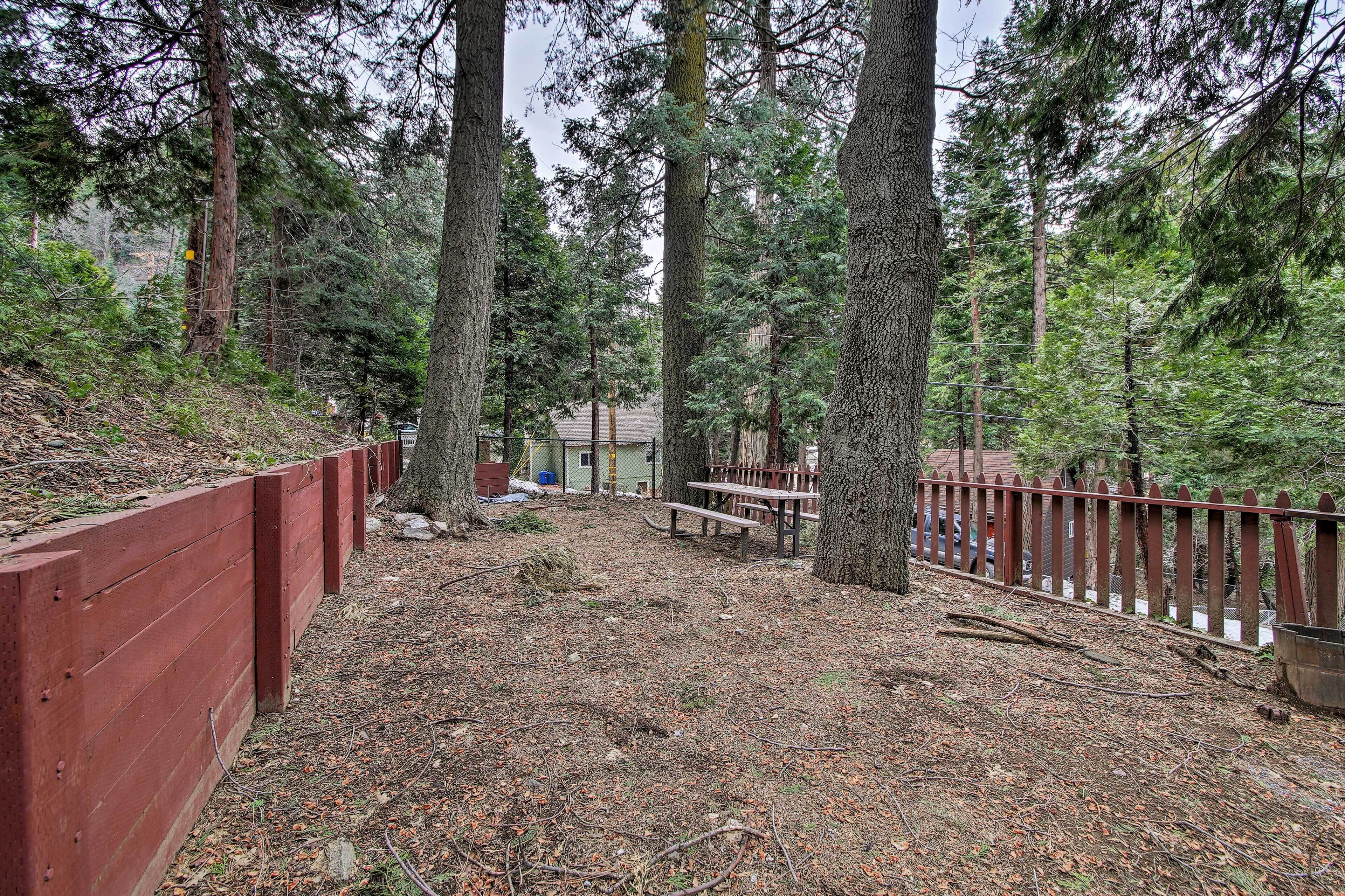 A forested area with a wooden fence, a picnic table, and a bench.