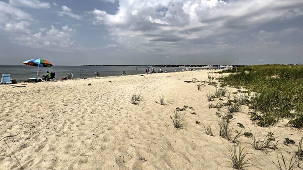 En sandstrand med en farverig parasol, strandstole og et græsareal.