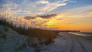 Lejlighed (1 Bedroom) | Interiør