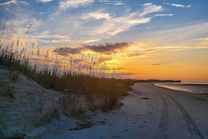 Appartement (1 Bedroom) | Intérieur