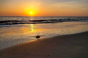 Apartamento (1 Bedroom) | Parte interna