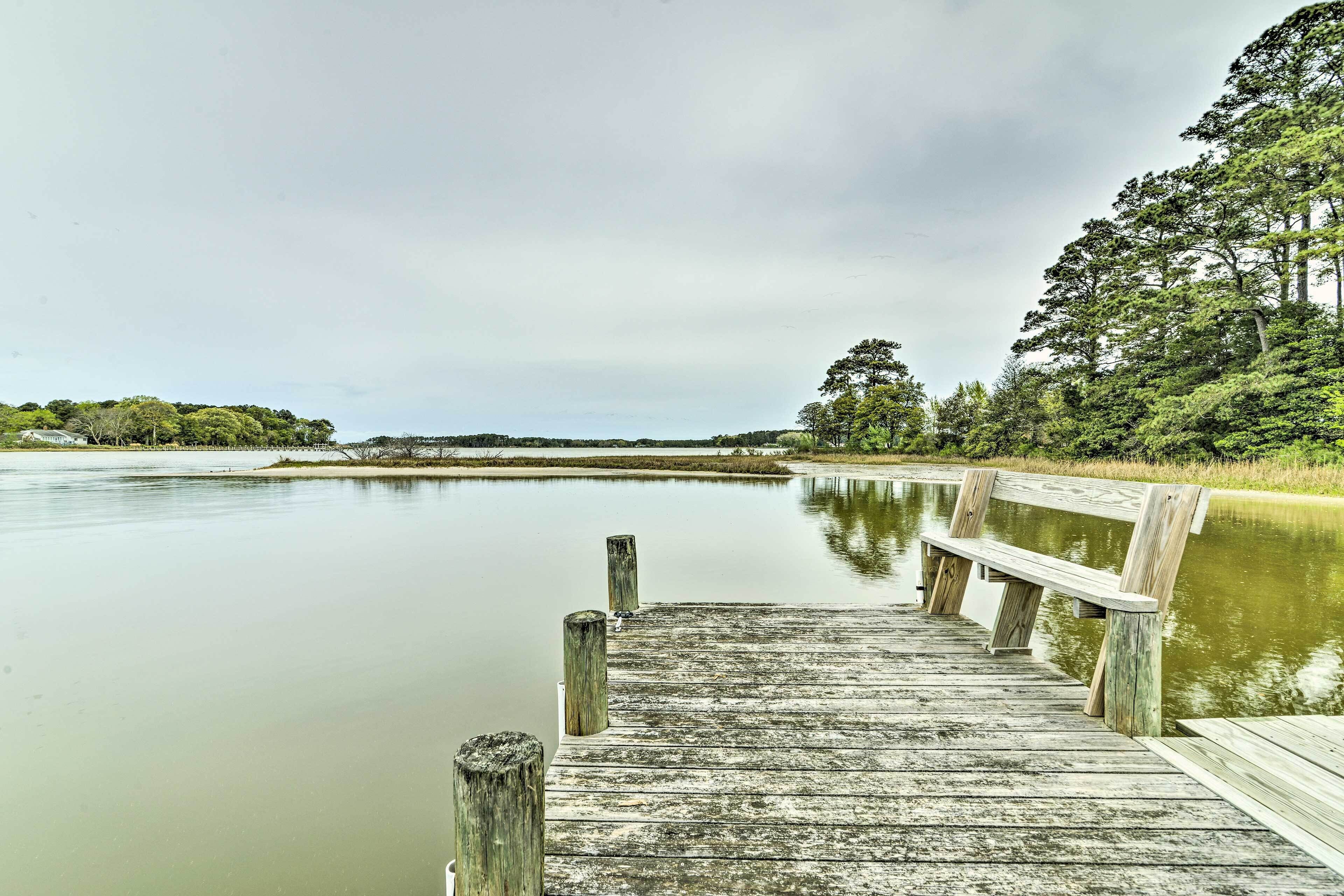 Une jetée en bois s’étendant sur une étendue d’eau calme, entourée d’une végétation luxuriante et d’arbres.
