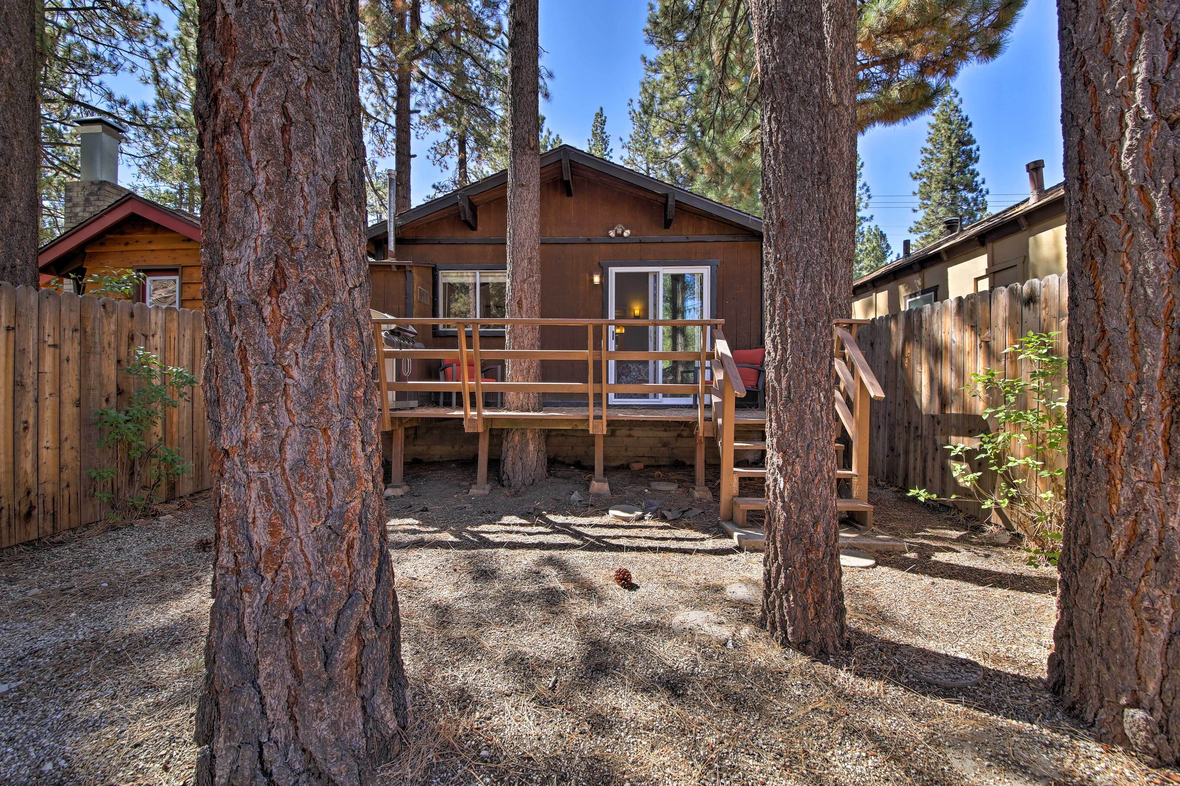 A cabin with a wooden deck, surrounded by tall pine trees.