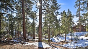 A cabin surrounded by tall pine trees with snow on the ground. - Walk to Lake: Rustic Home w/ Deck in Fawnskin (Fawnskin)