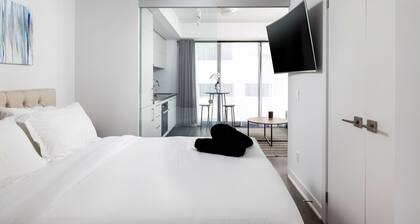 Luxury Executive Condo in Yorkville