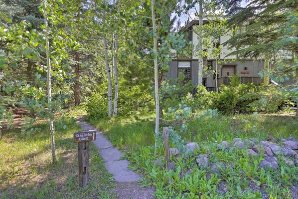 A pathway leading to a building surrounded by trees and greenery. - Vail Condo w/ Mtn-view Deck - Steps to Ski Shuttle (Vail)