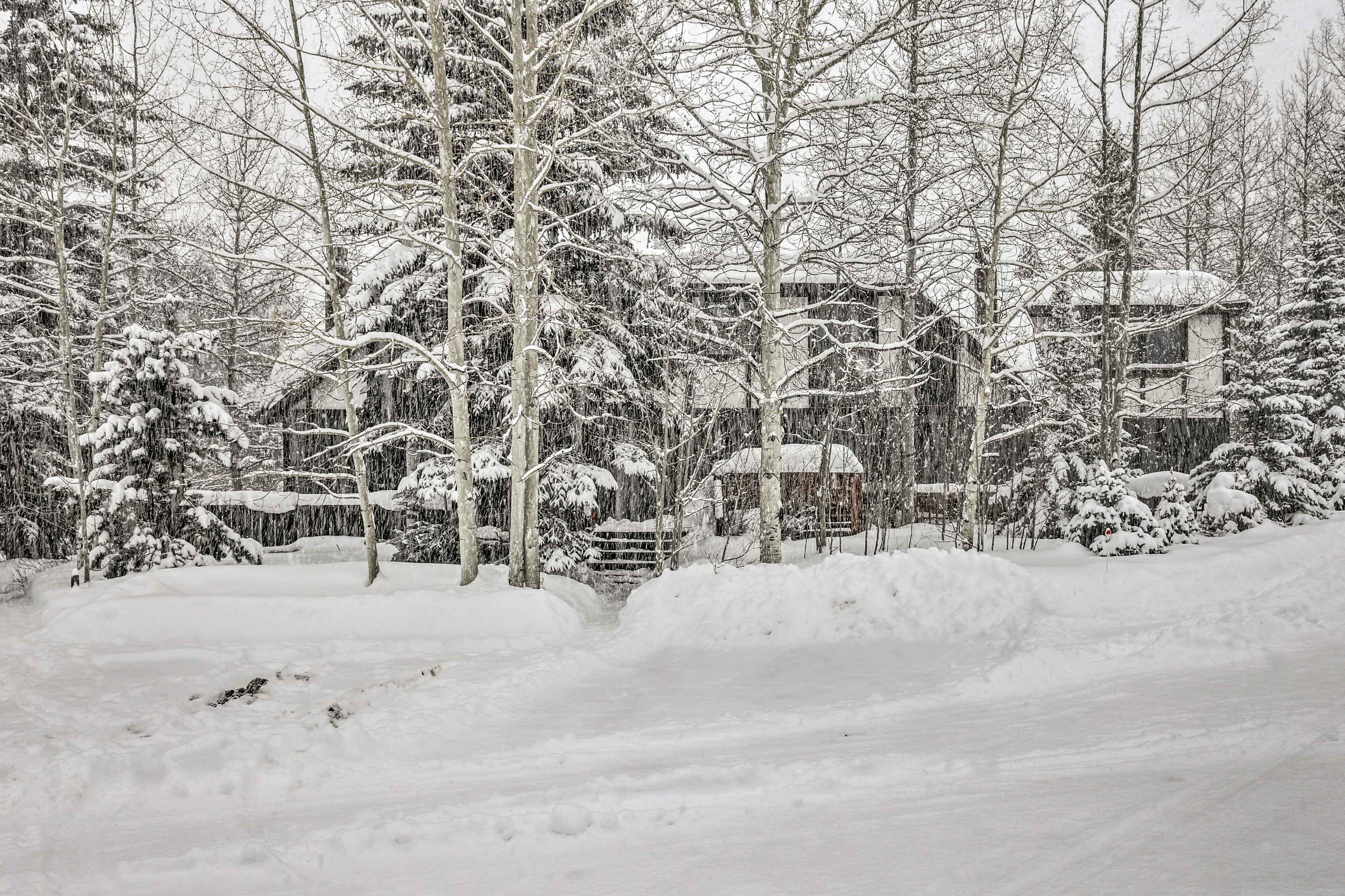 A snow-covered landscape with a building surrounded by trees.