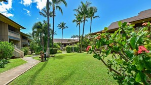 A well-maintained courtyard with a clear pathway, surrounded by lush greenery and palm trees, leading to a building with multiple balconies.