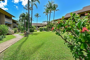 Apartment (1 Bedroom) | Interior - Kihei Condo: Steps to Kalepolepo Beach Park! (Kihei)