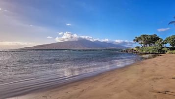 Apartamento (1 Bedroom) | Parte interna