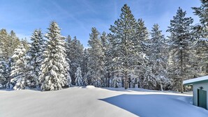 A snowy landscape with a snow-covered path leading to a building with a green door. - Scenic Forest Lodge Outside Glacier National Park! (West Glacier)