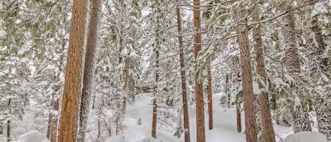 Apartment (3 Bedrooms) | Innenbereich