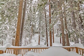 Une forêt enneigée, avec de grands pins et une terrasse en bois.