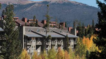 Appartement (3 Bedrooms) | Interieur