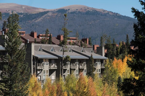 Apartment (3 Bedrooms) | Innenbereich