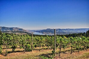 House (4 Bedrooms) | Interior - Luxury Home w/ Views - 5 Min to Columbia River (Underwood)