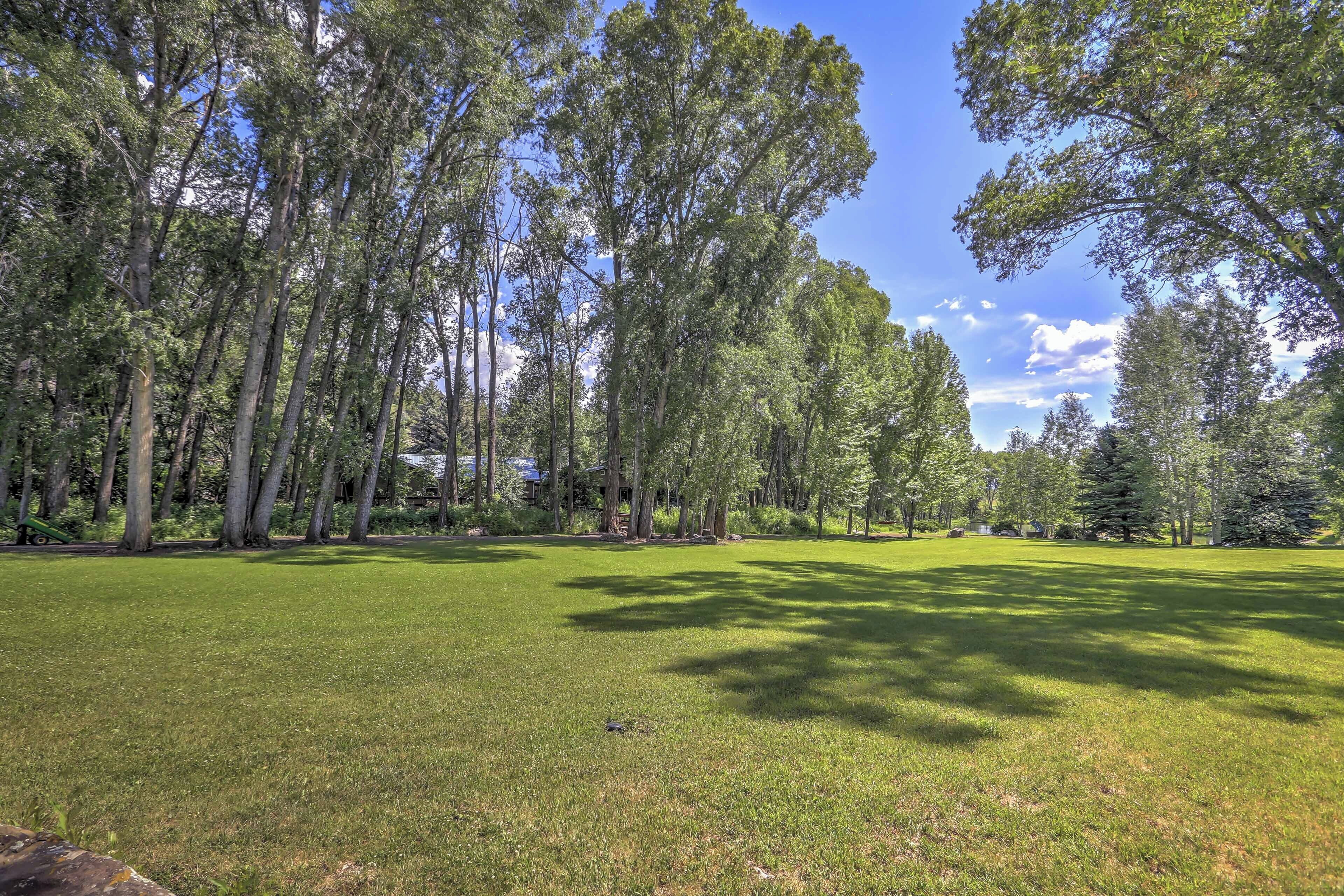 Un campo erboso con alberi alti e cielo sereno.